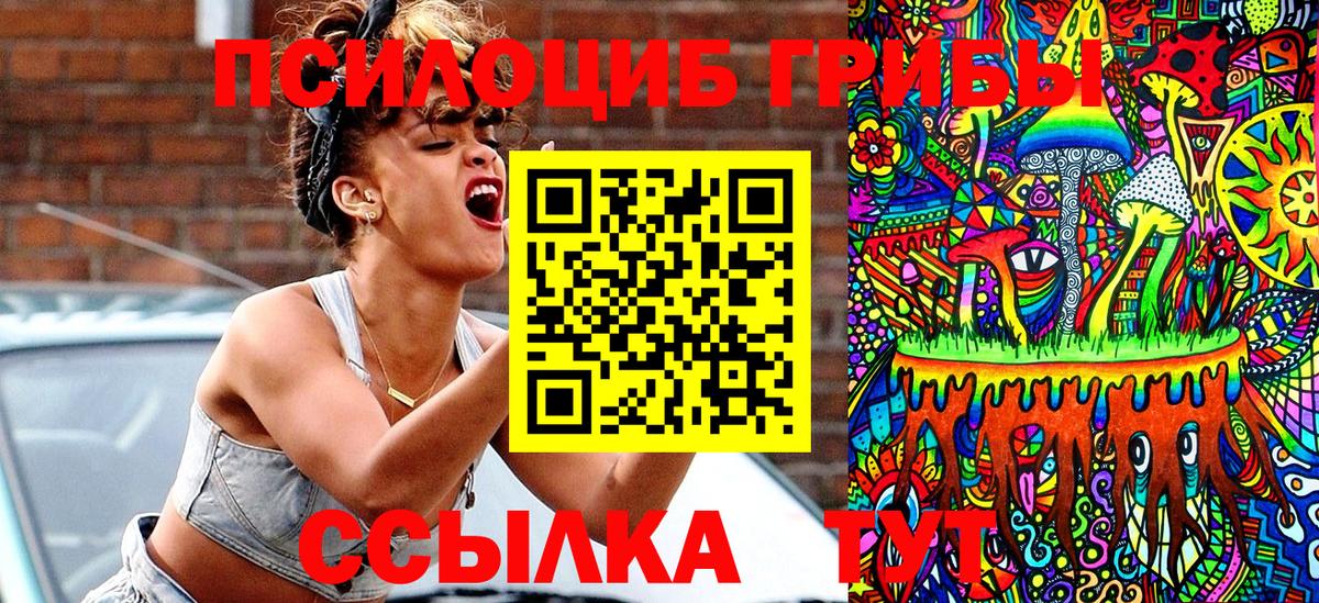 Орехово-Зуево  Псилоцибиновые грибы Psilocybe  Вход с VPN 
